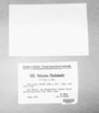 Melasmia rhododendri image